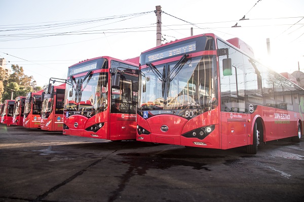 byd electric bus argentina