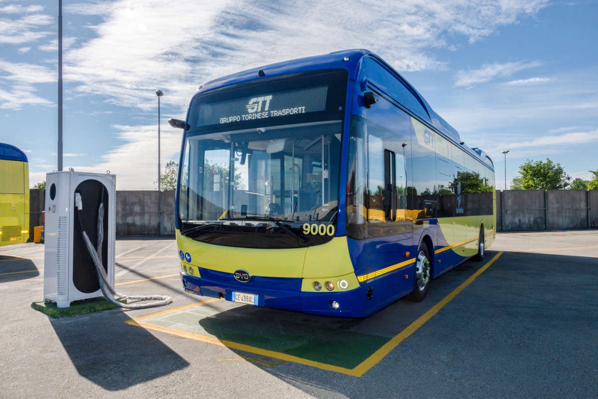 byd electric bus turin