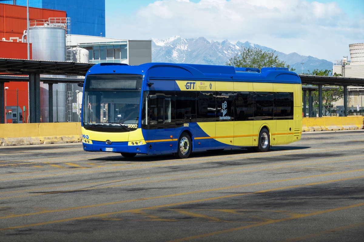 byd electric bus turin