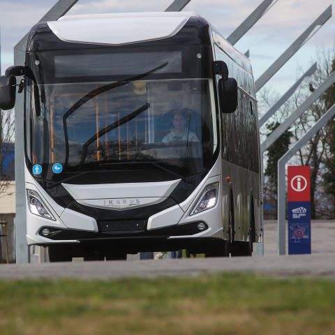 Hungary's Ikarus Buses Coming Back