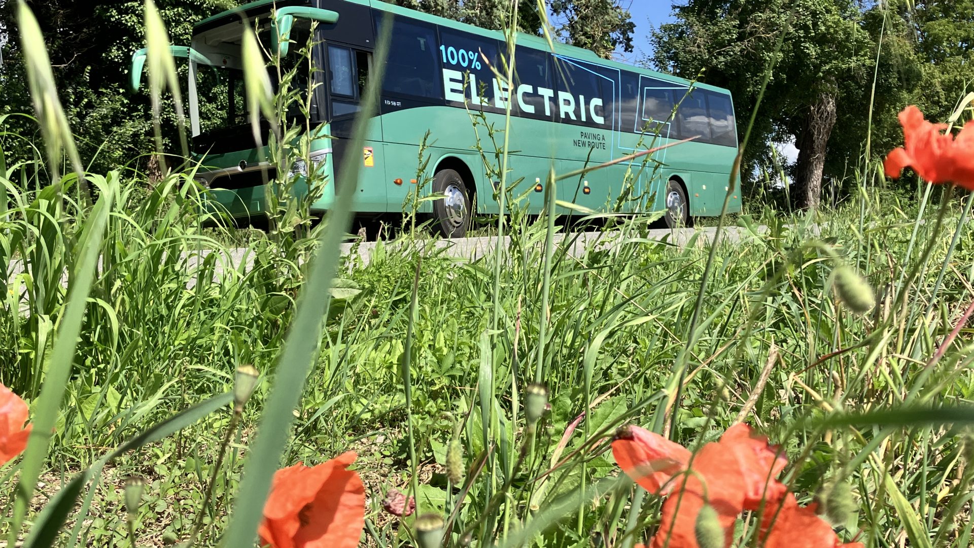 bus industry turkey 2026