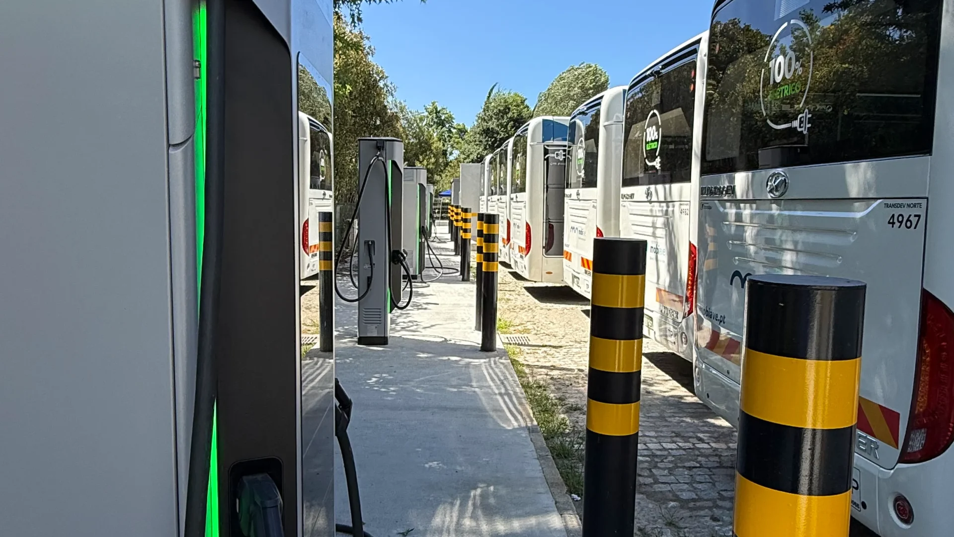 remo mota engil electric buses